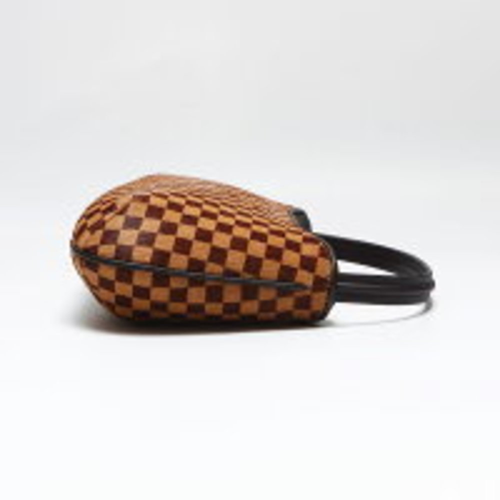 LOUIS VUITTON Damier Sauvage Tiger Handbag Brown - Picture 4 of 12
